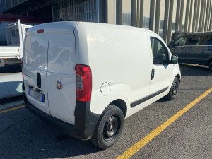 Fiorino
