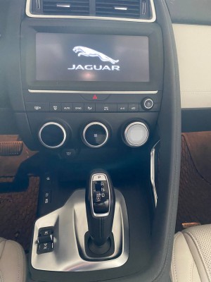 Jaguar