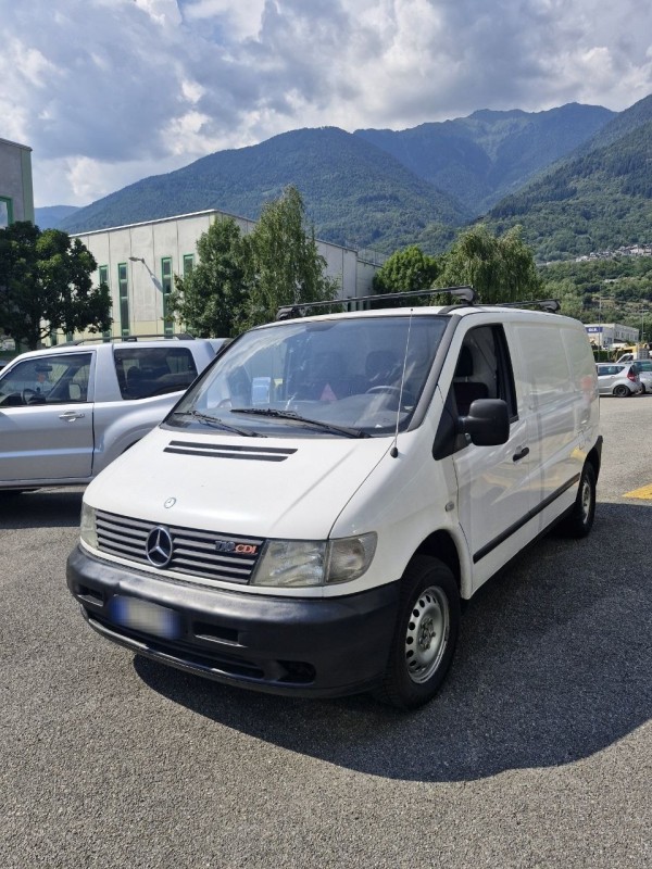 Vito Vito