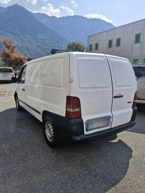 Vito Vito